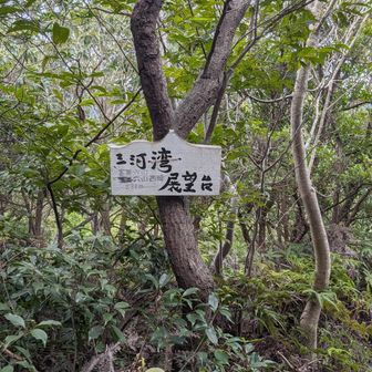イマイチ展望台がどこか分からなかった…