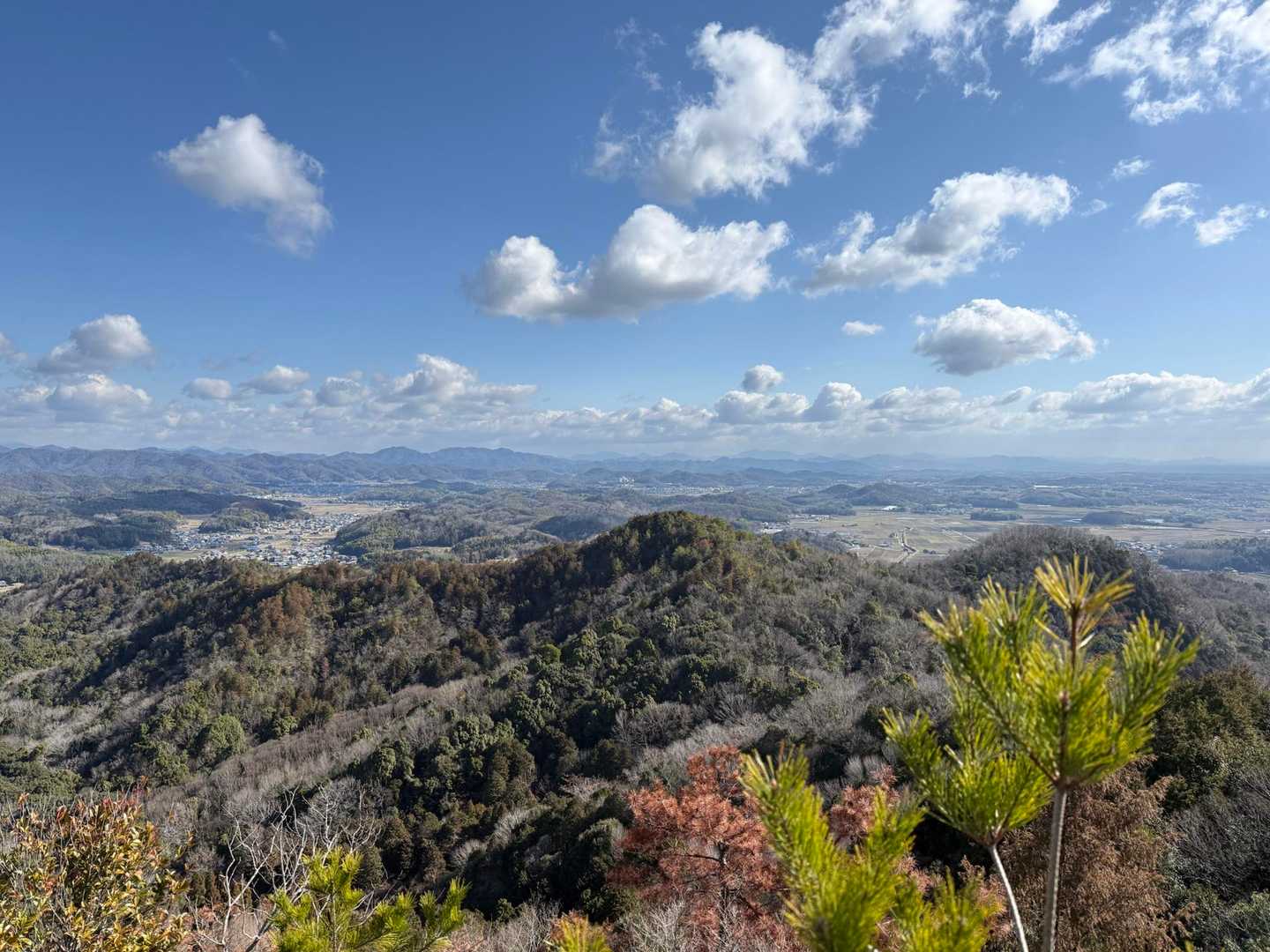 藤ノ木山登山口-藤ノ木山 周回コースの写真