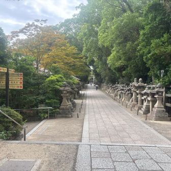 ここから裏参道を降ります