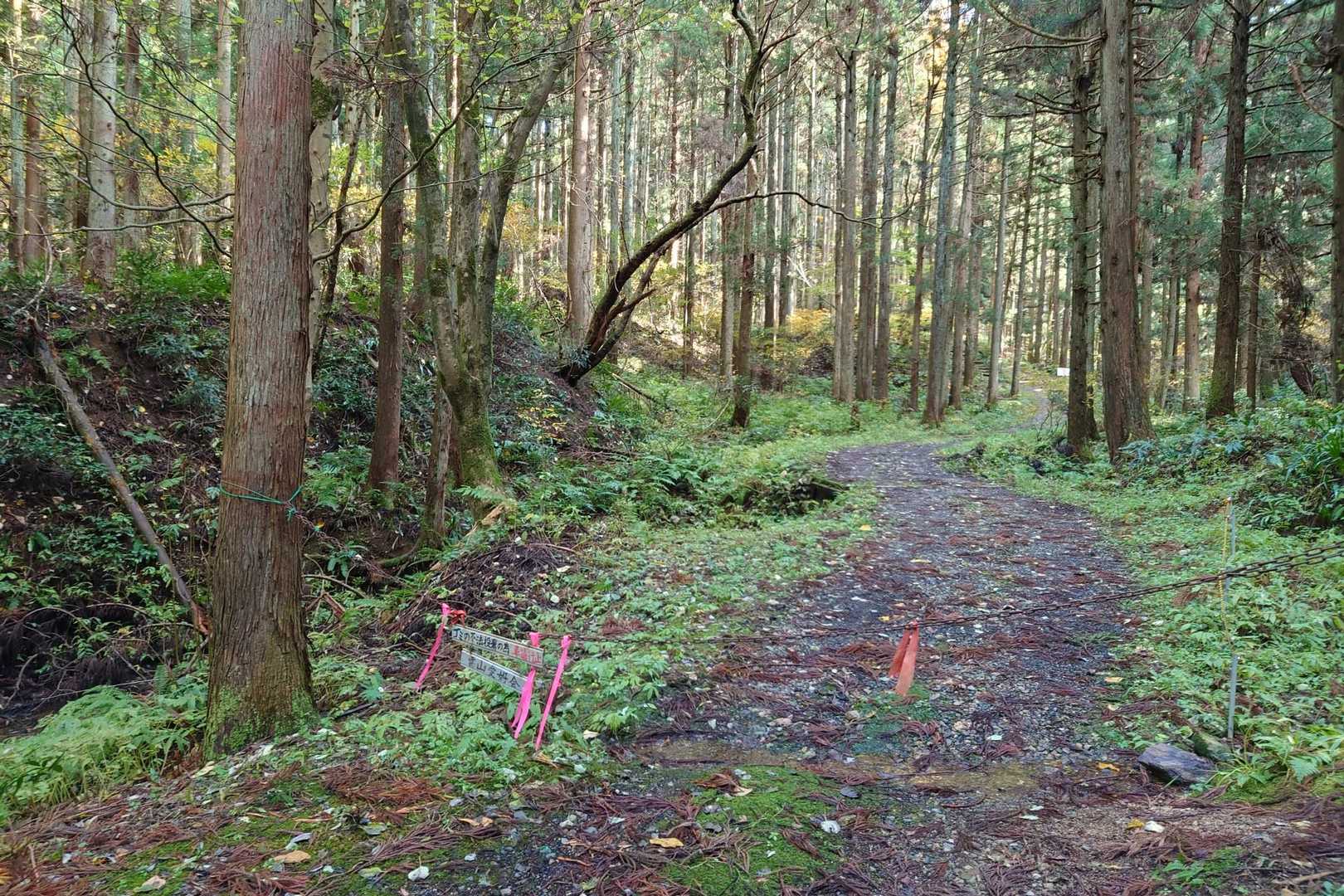 無事下山
ありがとうございました☺️