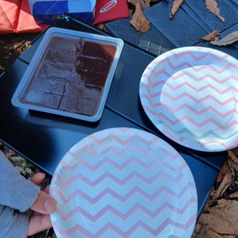 福井名物水羊羹