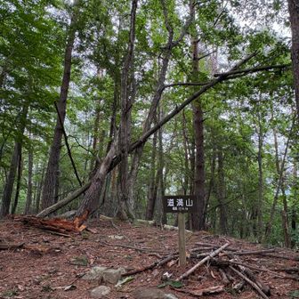 道満山（四等三角点 道満1,314.05ｍ）