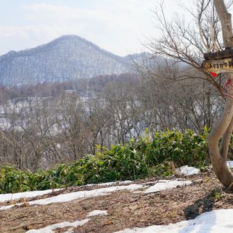 赤坂山から三角山