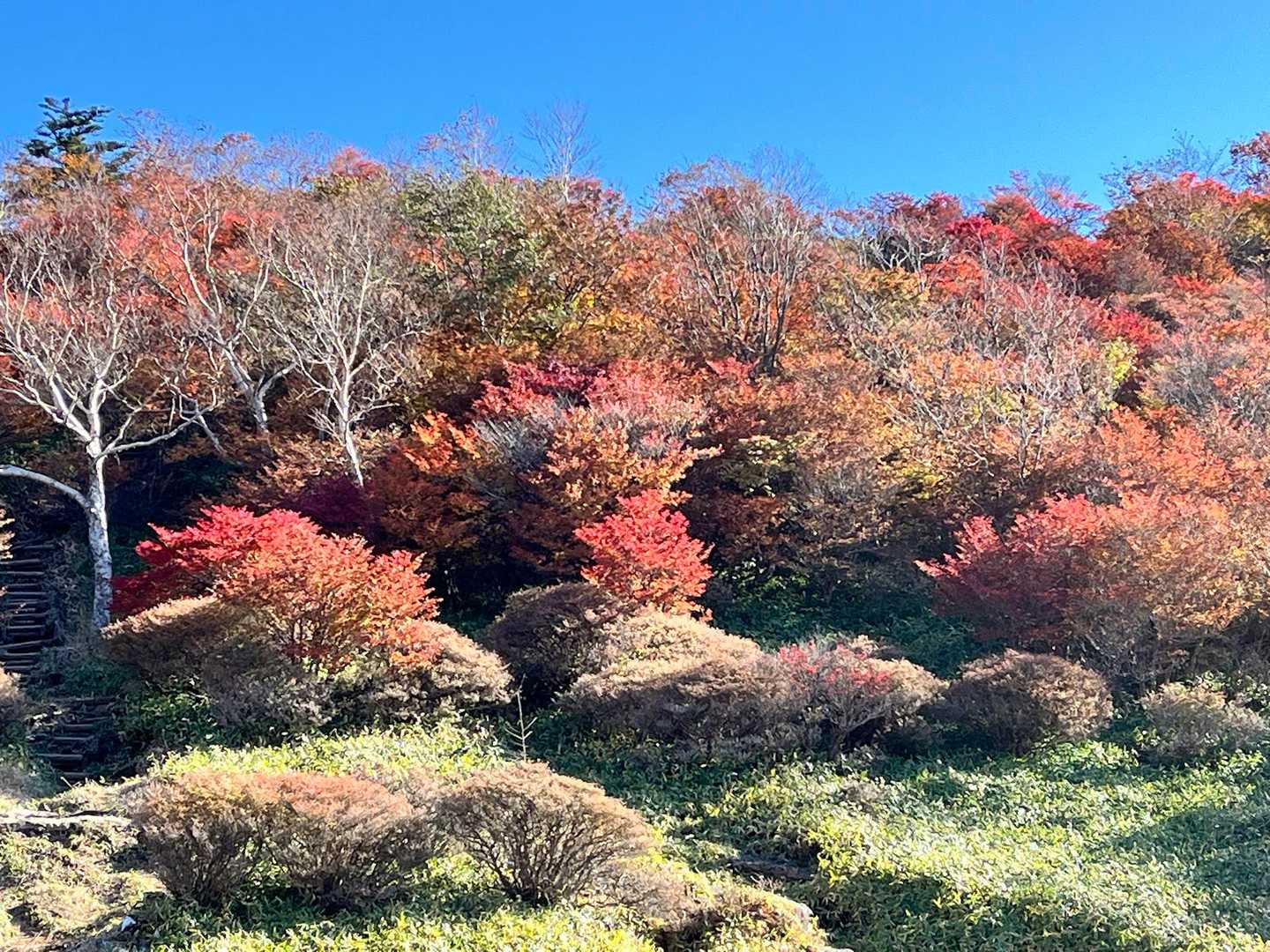 霧降高原レストハウス-赤薙山-丸山 周回コースの写真
