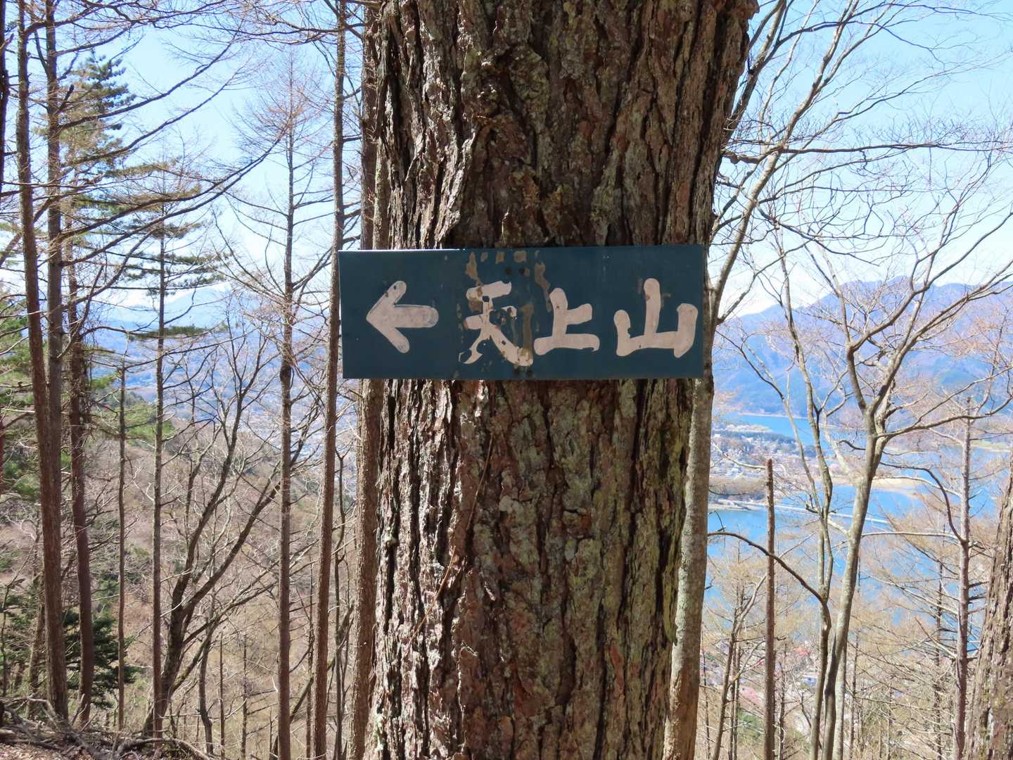 車道を横切った先には天井山を示す道標