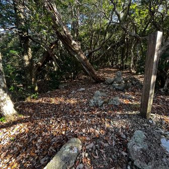 祠も何もなし、木の柱が建ってるがピークでもない所