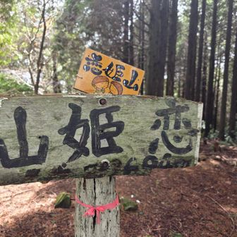 無事にこれたよ🚩