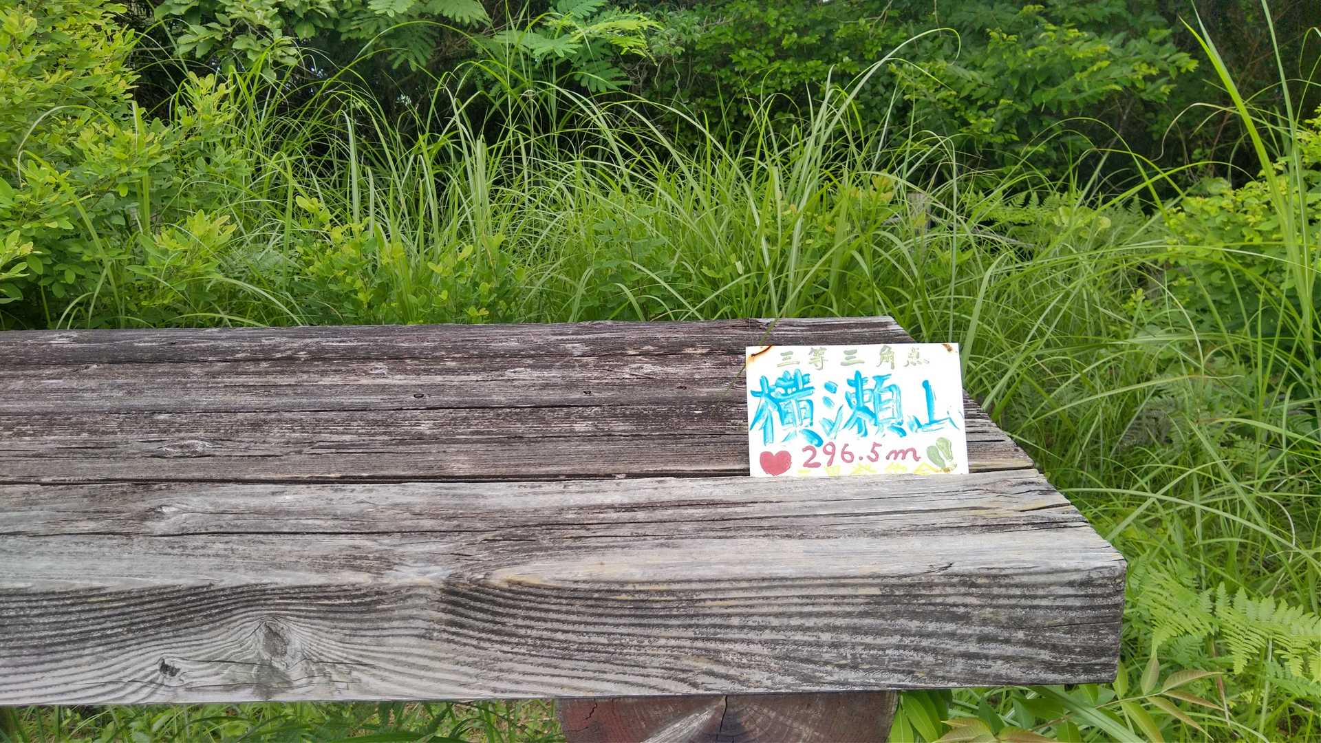 横瀬山山頂にも誰もいない