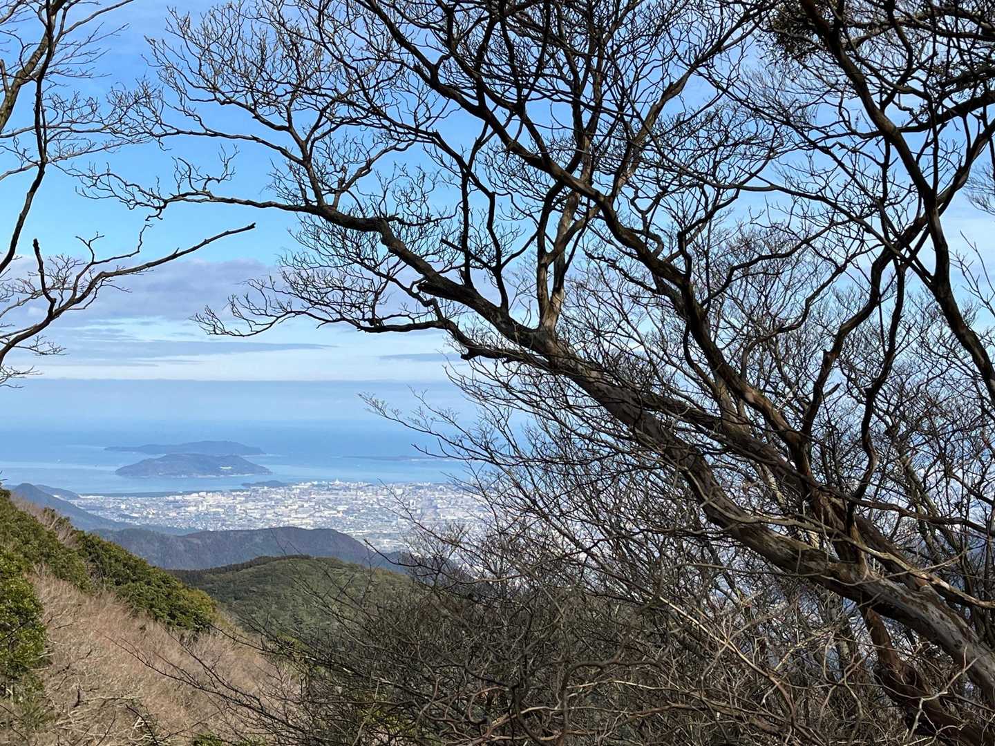 樹々の間から能古島