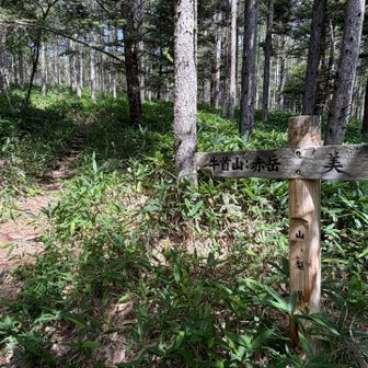 遊歩道とは名ばかり、、