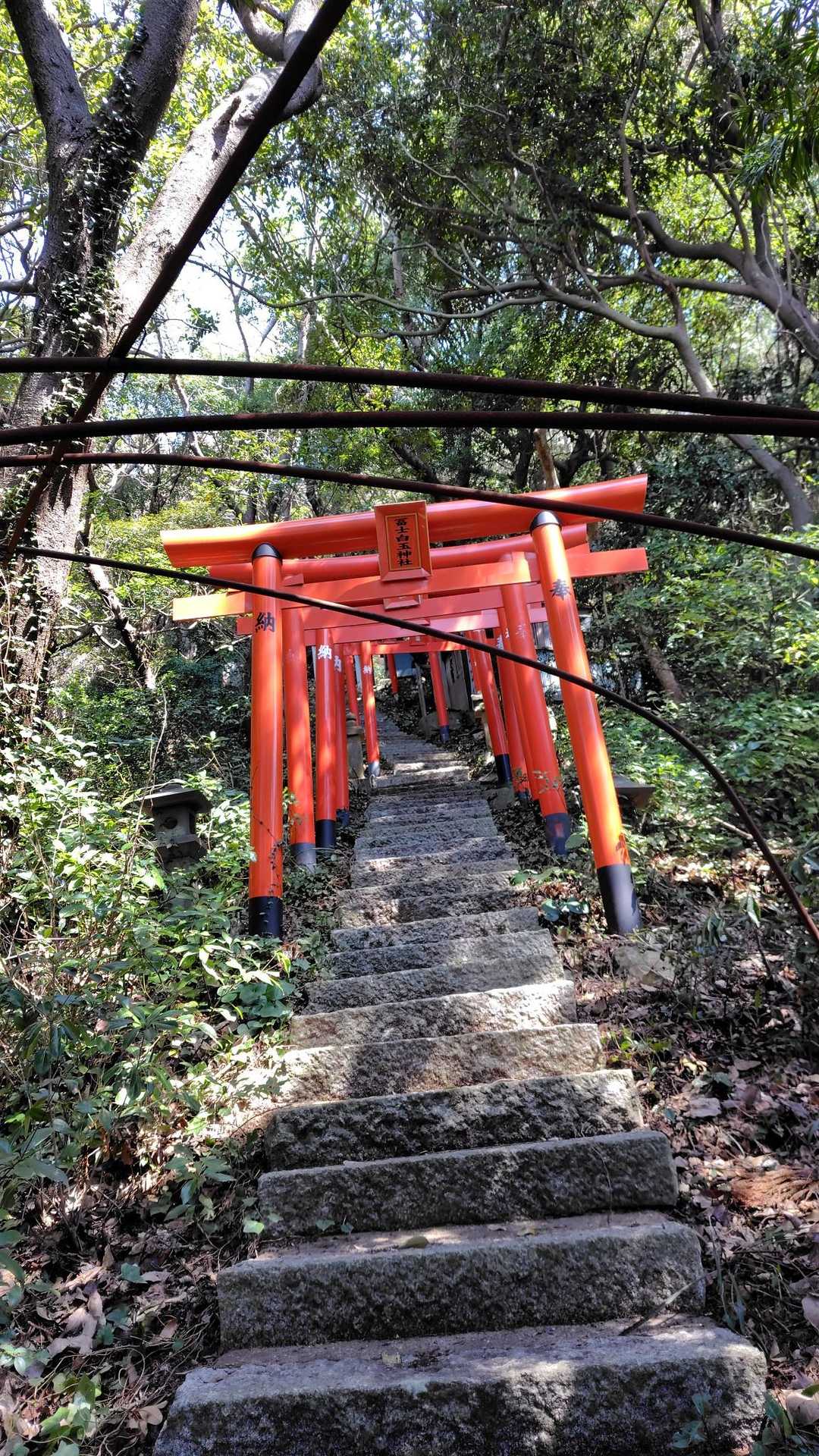 ⛩️の石段を降りて振り返る