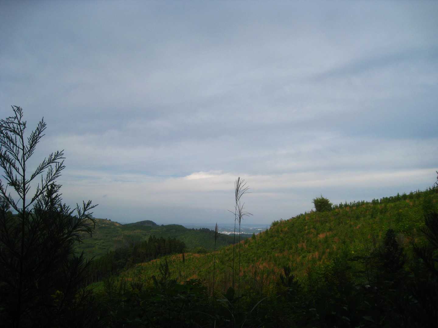 分岐点まで戻ってきました。
