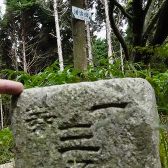 経塚と反対側に数少ない一等三角点と前方の木に山名板あり
金剛山はこの湧出岳と葛城岳と大日岳の３つの峰からなる総称で「金剛山 転法輪寺」の金剛山が山号