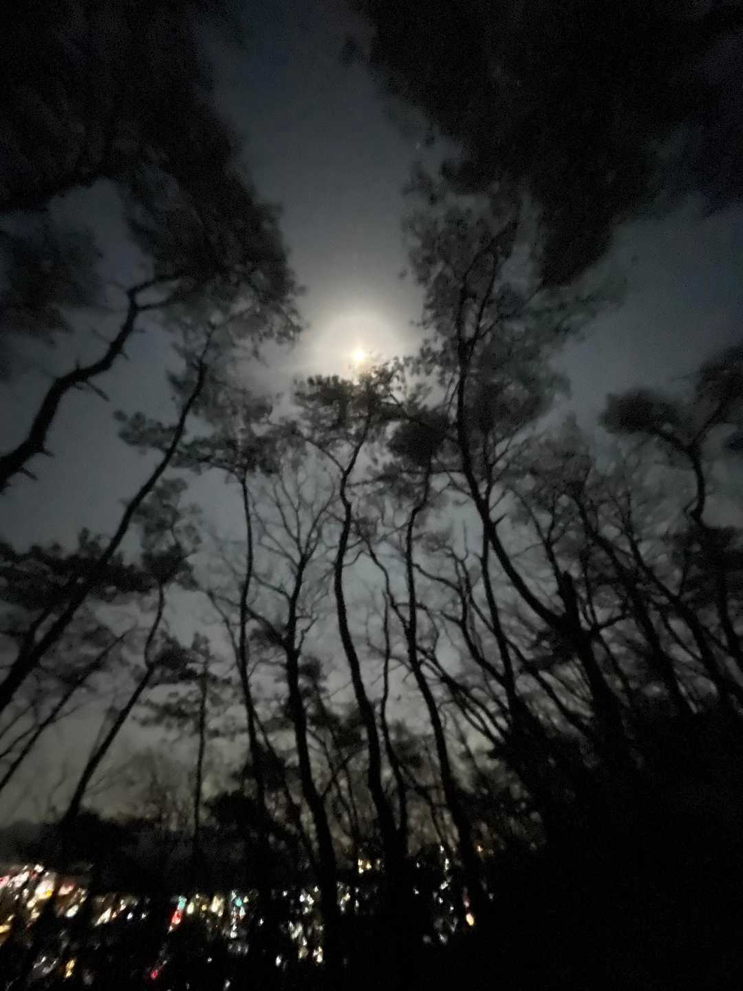 闇夜にも慣れるものですね😊
