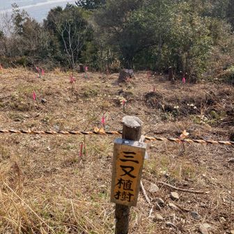 山頂に到着！
ミツマタの群生地を作るのかな？