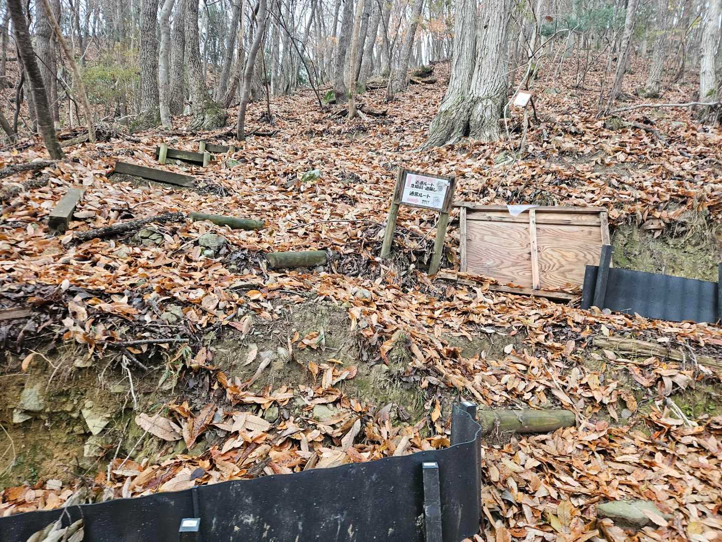 色んなところに案内があって、とっても親切なお山⛰️