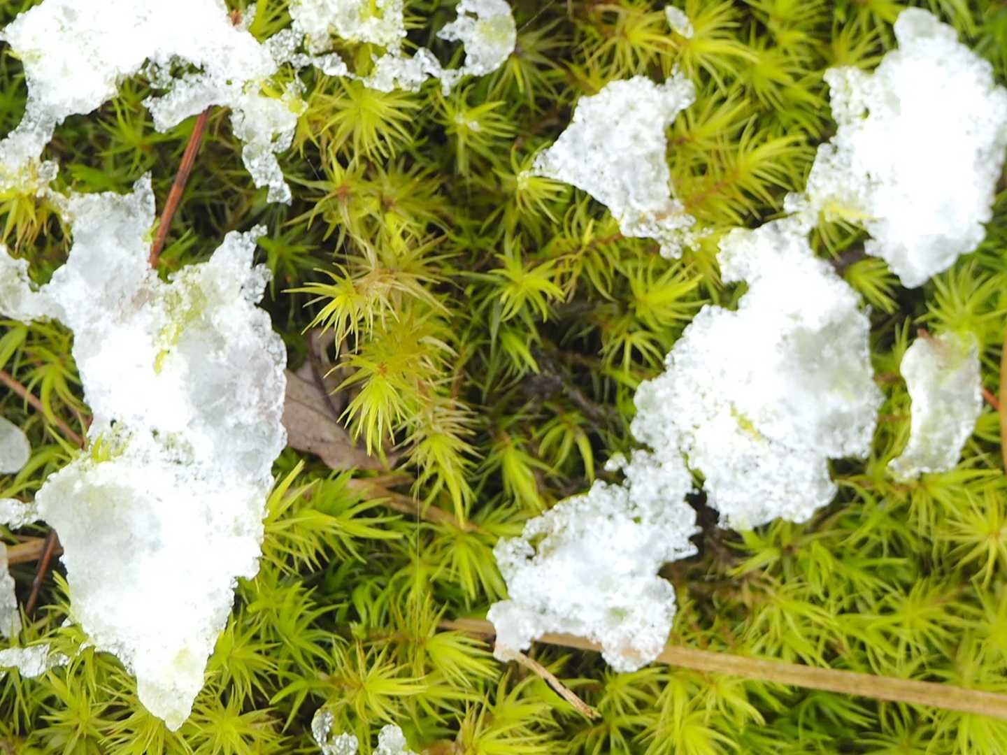 二ッ山（秋田県）の写真