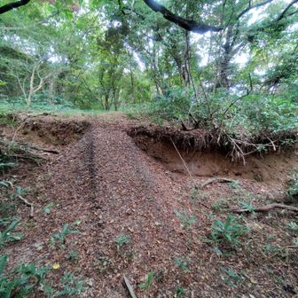 能登半島北岸断層帯の断層だったらいいなあと思った