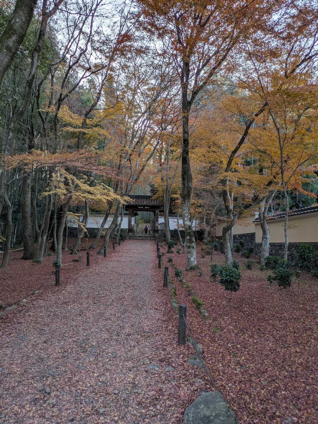 馬堀駅-みすぎ山-唐櫃越-沓掛山-沓掛山登山口-上桂駅 縦走コースの写真