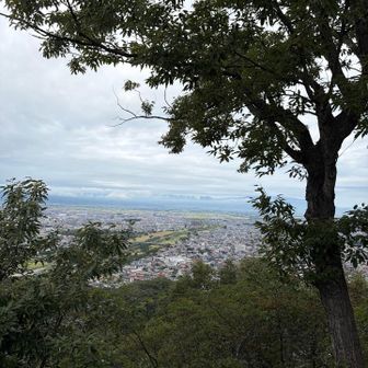 山形市内です