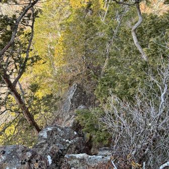 これ降りるの怖かったよね、難しい