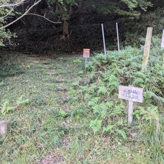 こちらから舗装路に出てきました。