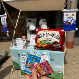 バニラとチョコ2種類いただきました、嬉しい！