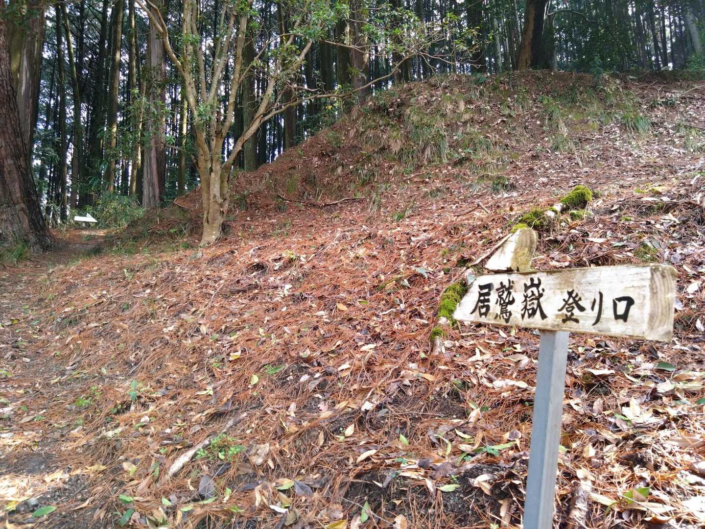 こちらから💁