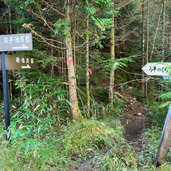 ここから樹林帯の急登に入ります。
平坦から突然、えっ？と思う急登。

うそのくちは昔からの古い集落で
元々の一番古い登山道だそうです。