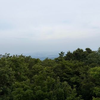 モヤってるから分からないが大阪湾側