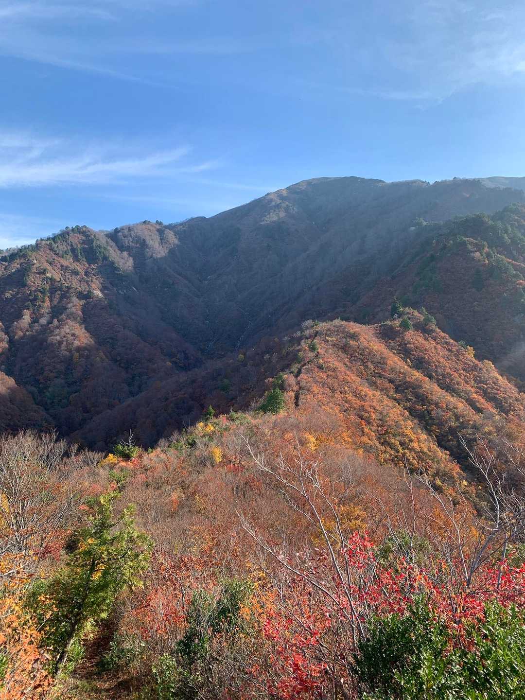 歩いてきた尾根を振り返る。良い😊