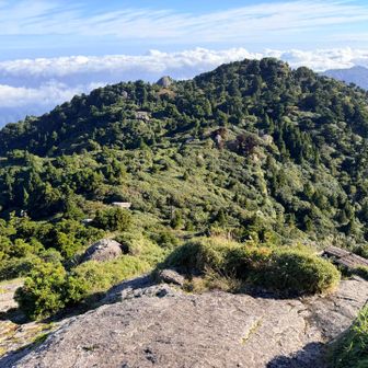 平岩から縄文杉方面。
針広葉樹の混合樹林なので景色が面白いです