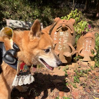 イヤー無事帰れて良かったよ。もう来ねえぞ