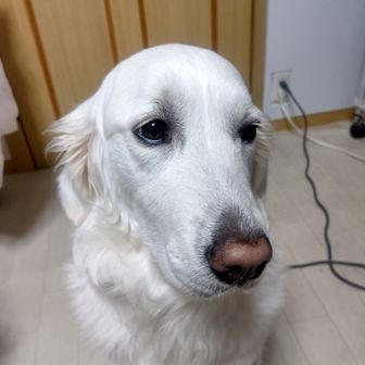 ひっと