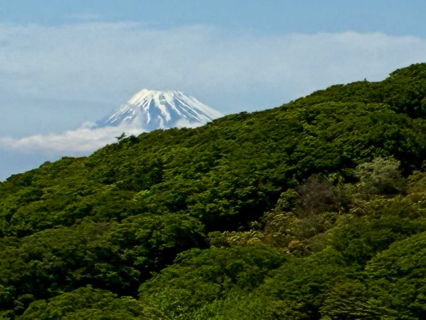 天城縦走登山口-万二郎岳-石楠立-万三郎岳-片瀬峠-小岳- 縦走コースの写真