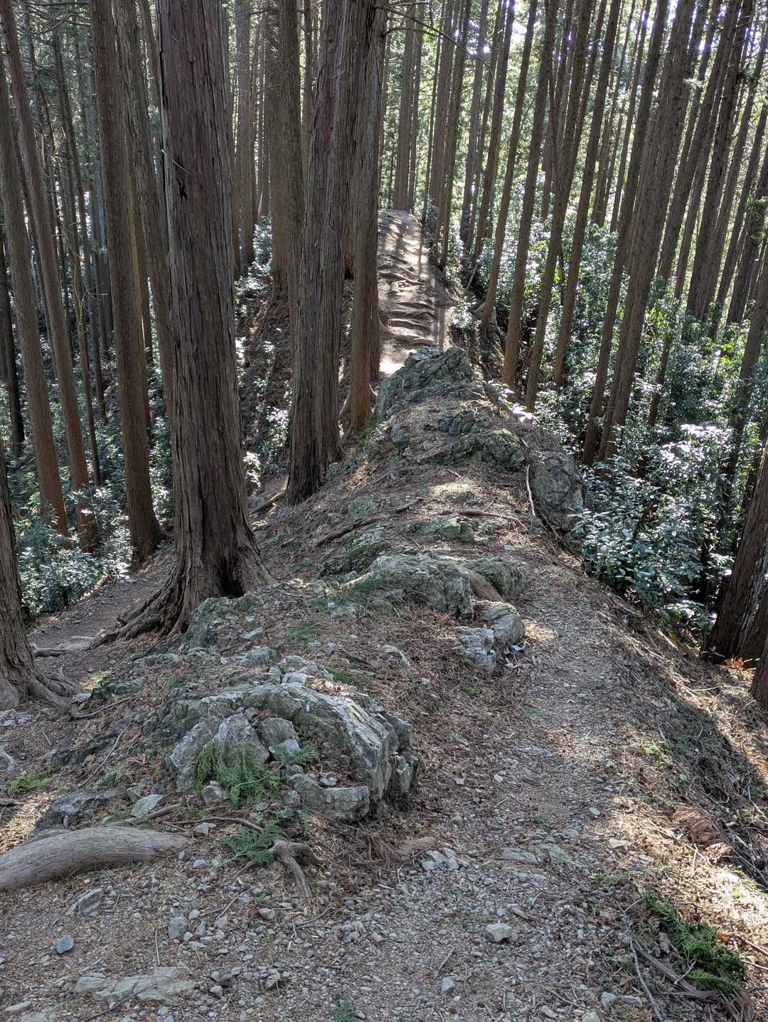 こんな道😬