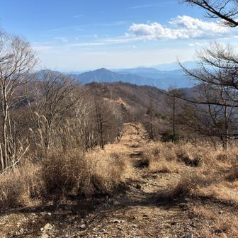 鷹ノ巣山から水根山への尾根道