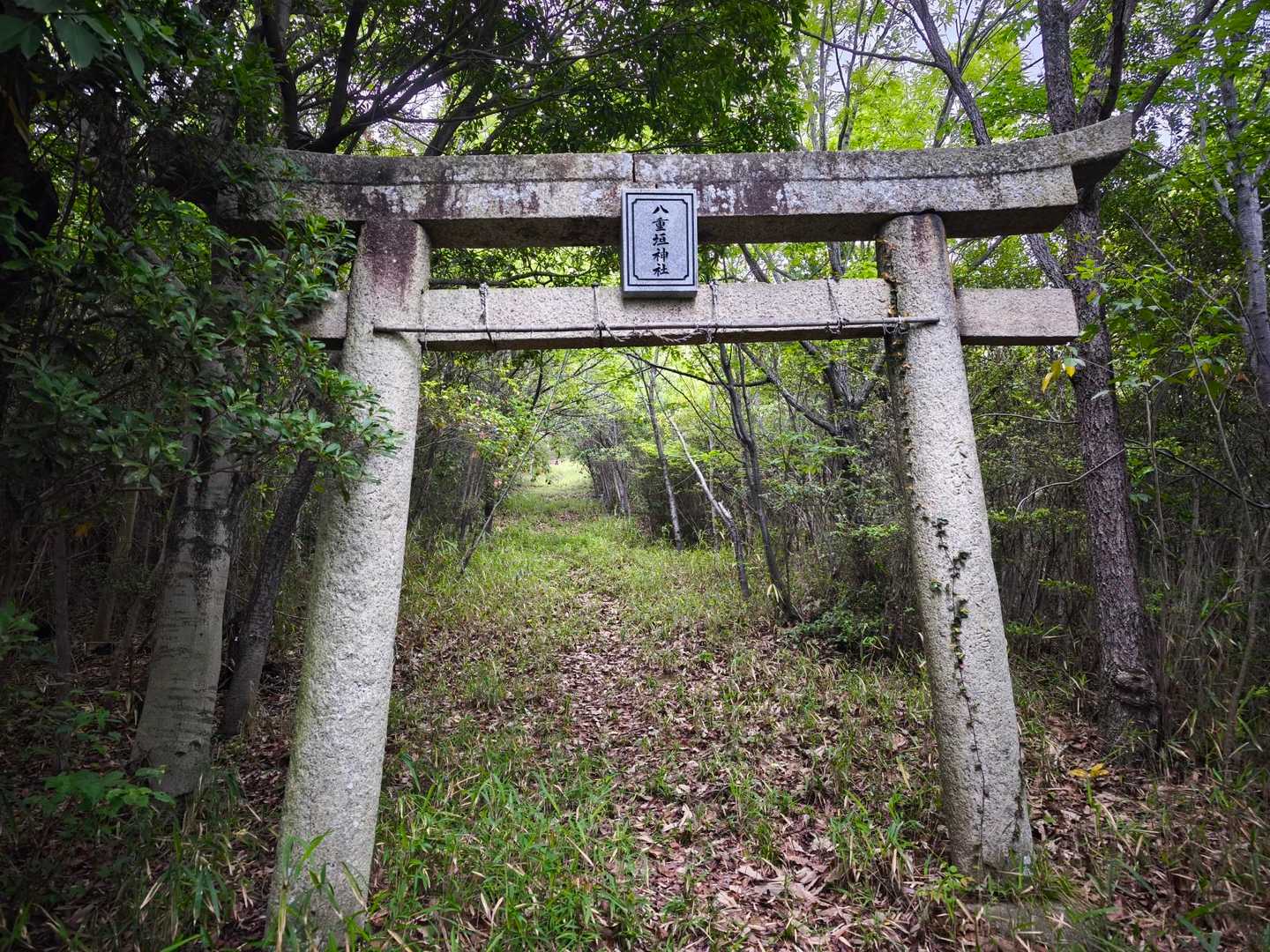 八重垣神社⛩️まで下りてきました。
神額が新しいので、「八重垣神社」がかなり目立ってる✨