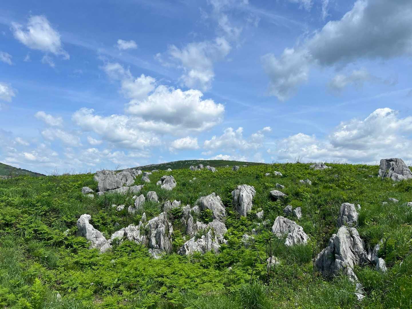 若竹山 往復コースの写真