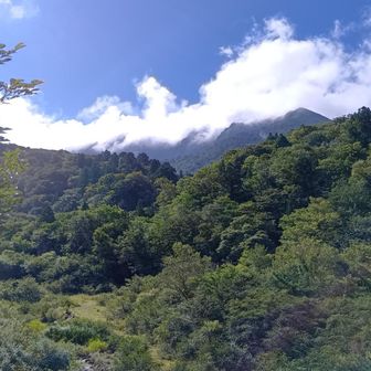 ガスがかっているけど、上ったころには晴れてるかも！