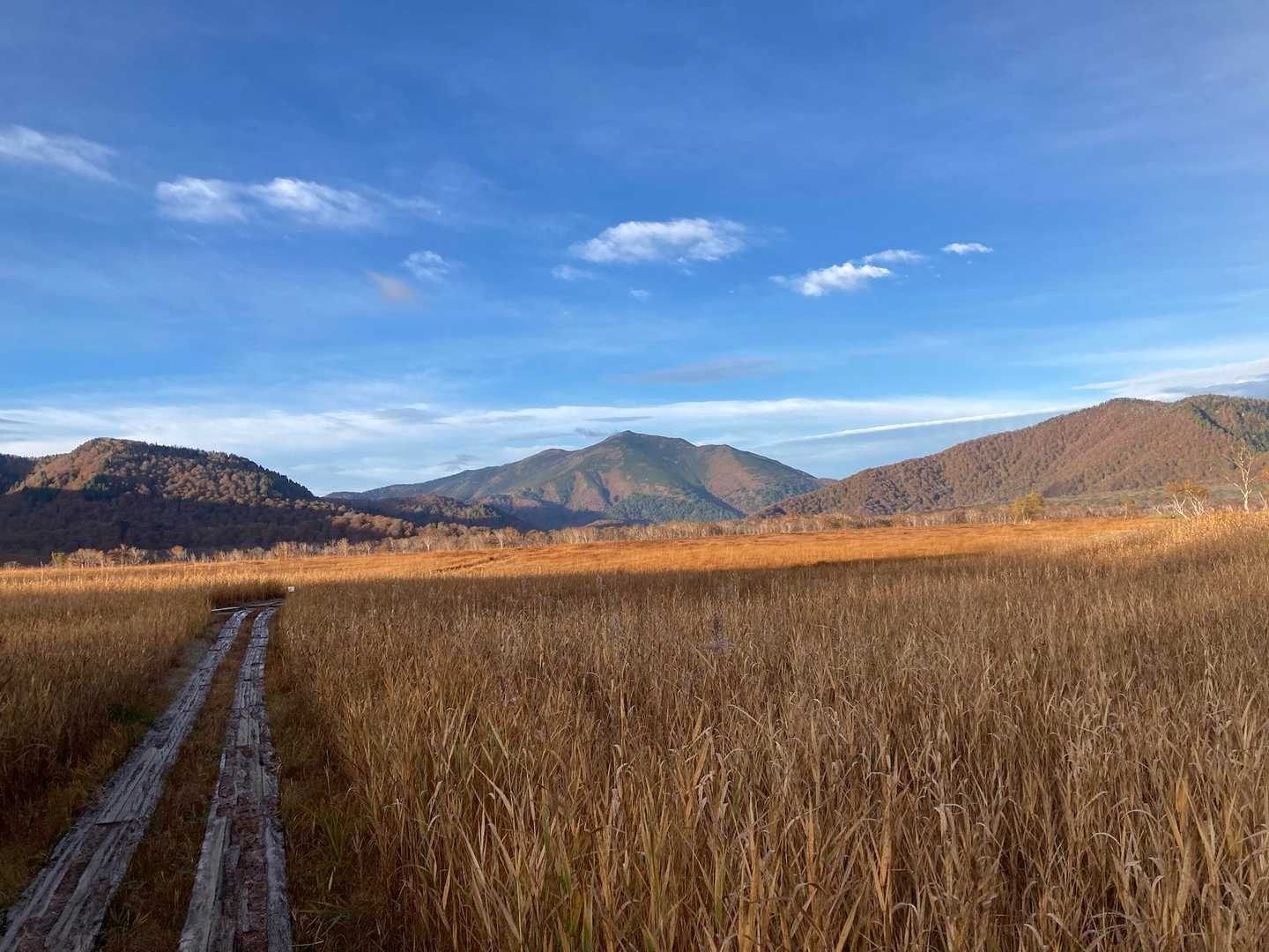 広沢田代-熊沢田代-燧ヶ岳-上田代 縦走コースの写真