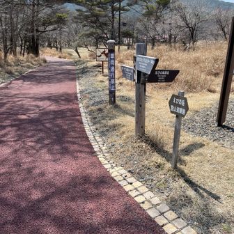 登山道までの道