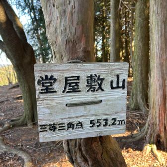 駐車場から10分くらいで山頂😁