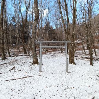 シュレディンガーのﾄﾑ猫ｷｬｯﾄ