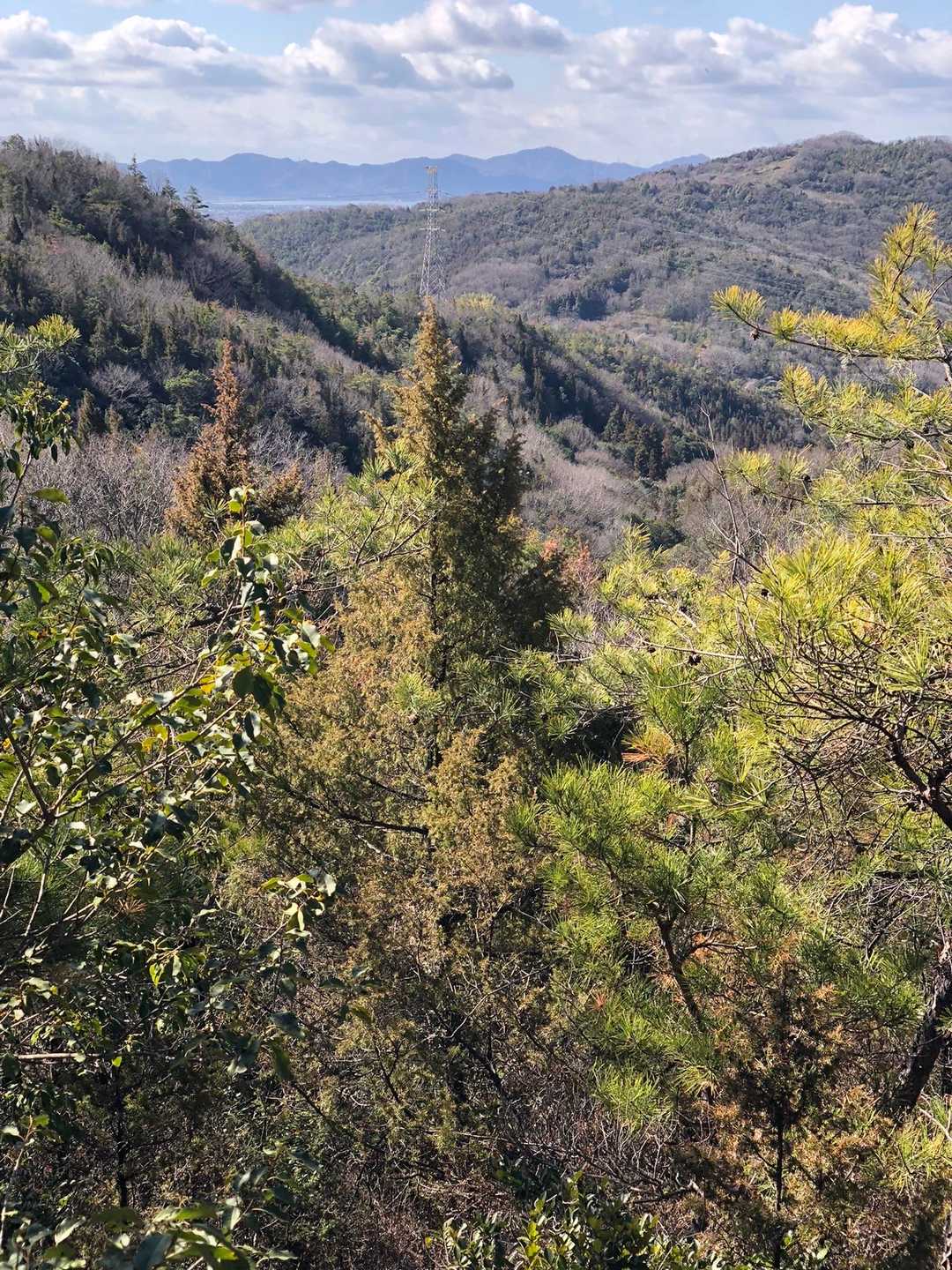 新庄山登り口-高尾山-大山-シャシャ木山登り口 周回コースの写真