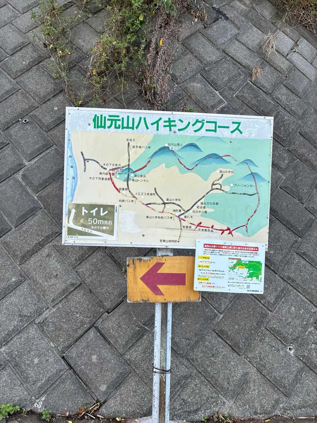 案内あり💁‍♀️