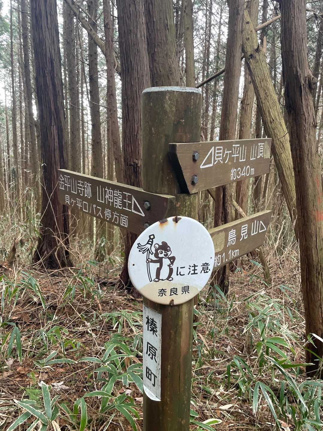 あと340ｍ٩( ᐛ )و