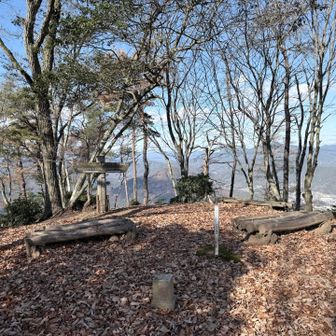 ここに三角点があった。
こっちが頂上らしい。