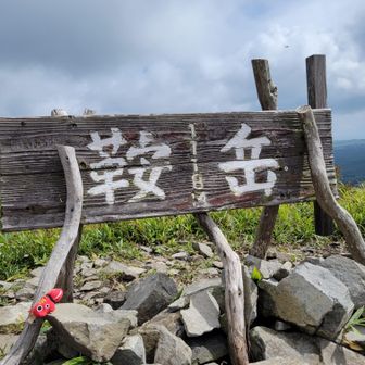 はい😊お父さんに到着