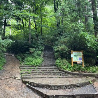 高尾山までの最後の登り（階段）です